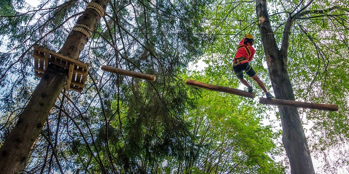 Passaggio alto da un albero all'altro