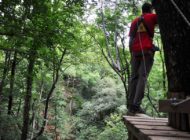 Collaudo bungee jumping