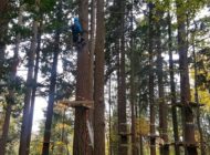 Tree climber al lavoro per installare le nuove piattaforme sugli alberi